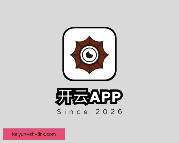 说明开云app